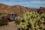 Las Vegas Desert Adventure and Landmark Tour