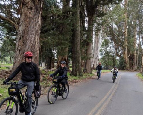 Sonoma Guided Wine Country Bike Tour