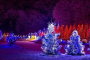 Olney Winter City Lights Holiday Experience