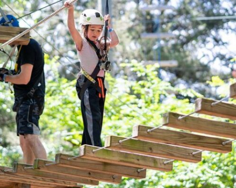 Dallas Tree Top Adventure