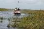 Everglades Eco Adventure And Scenic Boat Tour