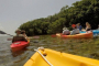 Florida Keys Marine Ecosystem Adventure Tour