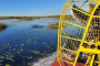 Miami Everglades Adventure and Airboat Safari