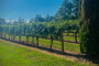 Asheville North Carolina Winery Tour Experience