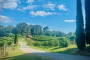 Asheville North Carolina Winery Tour Experience