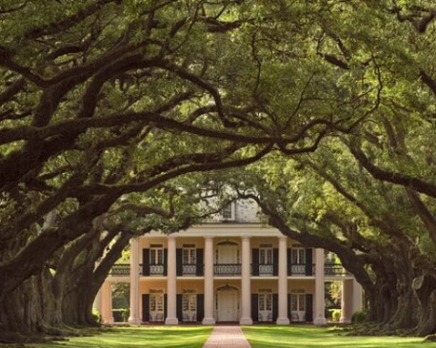 New Orleans Plantation Tour and City Experience