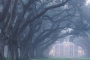 New Orleans Plantation Tour and City Experience