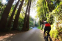 San Francisco Muir Woods Cycling Adventure