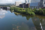 Austin Clear Kayak Lake Adventure Tour