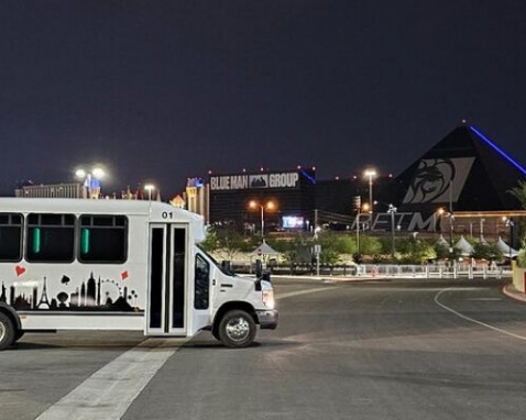 Las Vegas Strip Night Cruise Experience