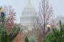 Washington DC LGBTQ History Walking Tour