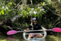 Dunnellon Florida Springs Kayaking Adventure