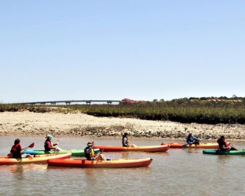 Hilton Head Island Guided Kayak Tour