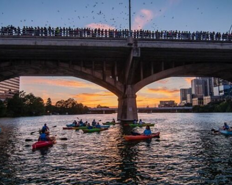 Austin Bat Watching Kayak Tour Experience