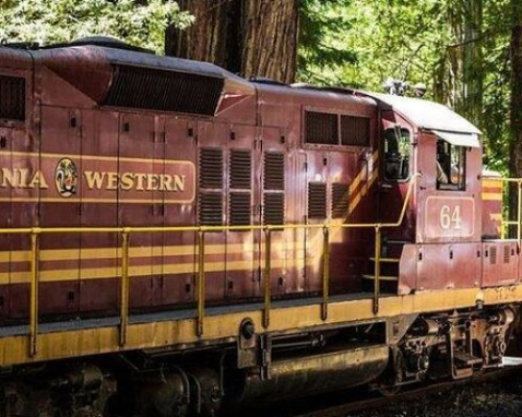 Willits Scenic Skunk Train Adventure