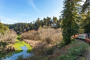 Willits Redwood Canyon Scenic Train Journey