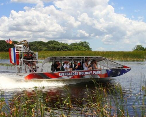 Miami Everglades Wildlife and Panoramic Boat Tour