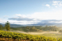 San Francisco Napa and Sonoma Valley Wine Bus Tour