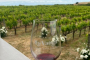 San Francisco Woods and Wine Day Tour