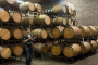 San Francisco Woods and Wine Day Tour