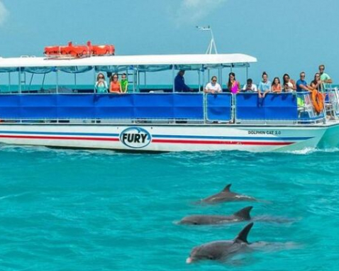 Key West Dolphin Watch and Snorkel Adventure