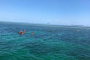 Key West Dolphin Cruise and Snorkel Adventure