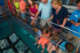 Key West Coral Reef Glass-Bottom Boat Tour