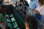 Key West Coral Reef Glass-Bottom Boat Tour