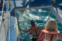 Key West Sunset Sail and Snorkeling Adventure