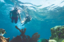 Key West Double Dip Snorkeling Adventure Tour