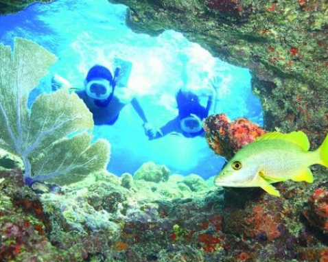 Key West Sailing and Snorkeling Adventure Tour