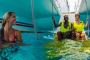 Key West Sailing and Snorkeling Adventure Tour