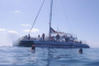 Key West Sailing and Snorkeling Adventure Tour