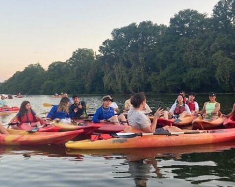 Austin Bat Watching Kayak Adventure