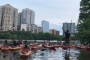 Austin Evening Bat-Watching Kayak Adventure