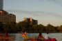 Austin Evening Bat-Watching Kayak Adventure