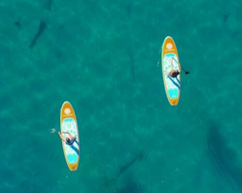 Lake Mead Paddle Board Adventure Experience