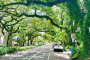 New Orleans Historic Neighborhoods and Nature Tour