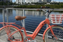 West Palm Beach Ebike Adventure Tour