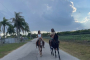 Miami Horseback Riding and Farm Visit