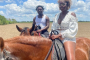 Miami Horseback Riding and Farm Visit