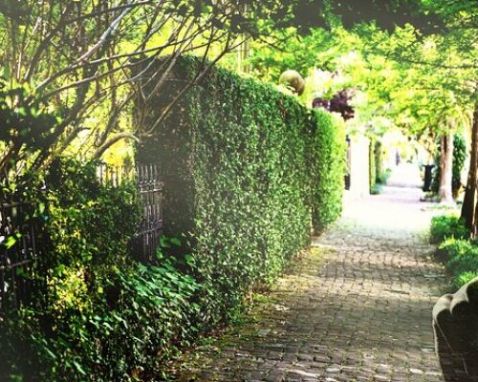 New Orleans Garden District Mystery Walking Tour