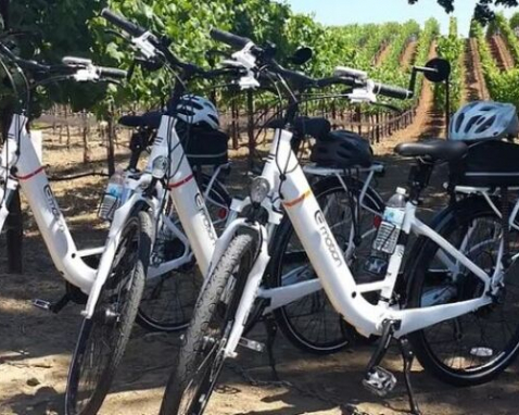 Sedona E-Bike Vineyard Tour and Tasting