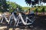 Sedona E-Bike Vineyard Tour and Tasting