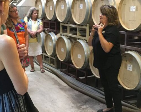 San Antonio Hill Country Wine Tour