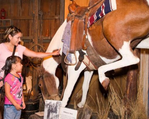 Buckhorn Saloon & Museum