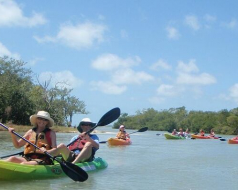 Fort Myers Wildlife Kayaking Adventure