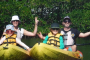 Fort Myers Wildlife Kayaking Adventure