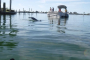 Fort Myers Beach Sunset Kayaking Adventure