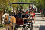 Charleston Historic District Carriage Tour